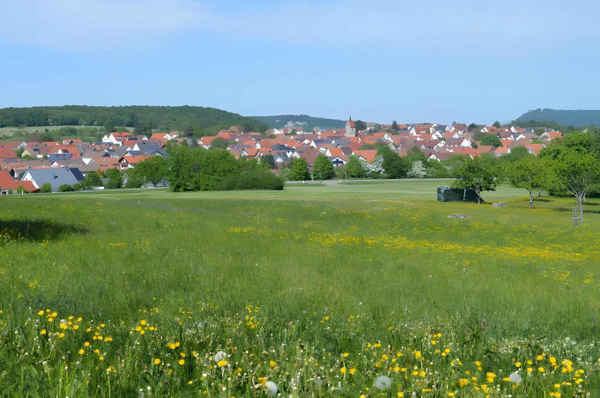 Fewo-Alb-Traum Erkenbrechtsweiler Esterno foto